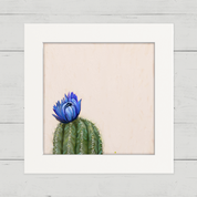 Cactus 4 Happy Square