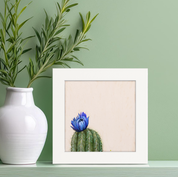 Cactus 4 Happy Square