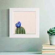 Cactus 4 Happy Square
