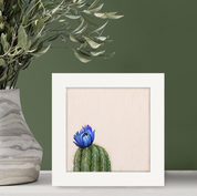 Cactus 4 Happy Square