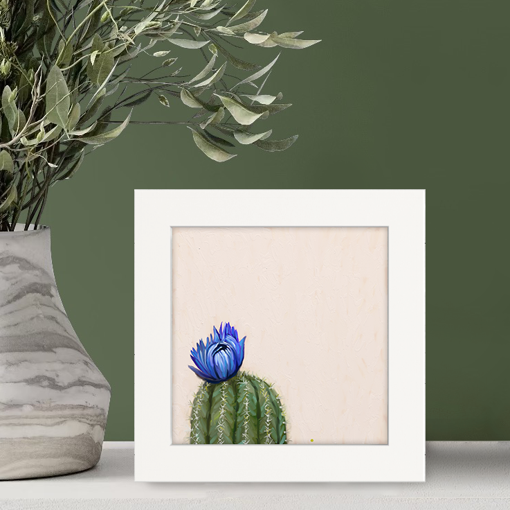 Cactus 4 Happy Square