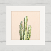 Cactus 1 Happy Square