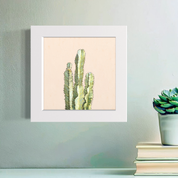 Cactus 1 Happy Square