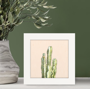 Cactus 1 Happy Square
