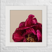 The Peony Happy Square™ Trio