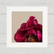 Peony 3 Happy Square™