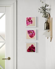 The Peony Happy Square™ Trio