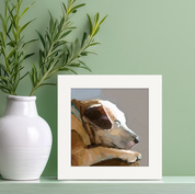 100 Days of Dogs - 11 Happy Square