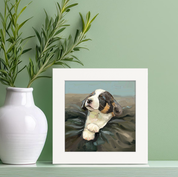 100 Days of Dogs - 13 Happy Square