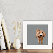 100 Days of Dogs - 20 Happy Square