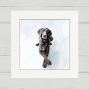 100 Days of Dogs - 42 Happy Square