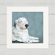 100 Days of Dogs - 56 Happy Square