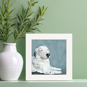 100 Days of Dogs - 56 Happy Square