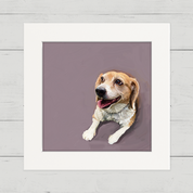 100 Days of Dogs - 58 Happy Square
