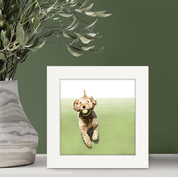 100 Days of Dogs - 66 Happy Square