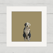 100 Days of Dogs - 6 Happy Square