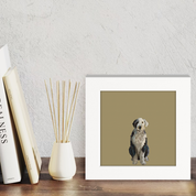 100 Days of Dogs - 6 Happy Square