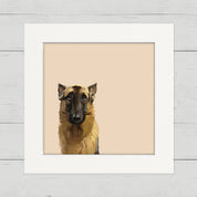 100 Days of Dogs - 77 Happy Square