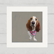 100 Days of Dogs - 83 Happy Square