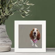 100 Days of Dogs - 83 Happy Square