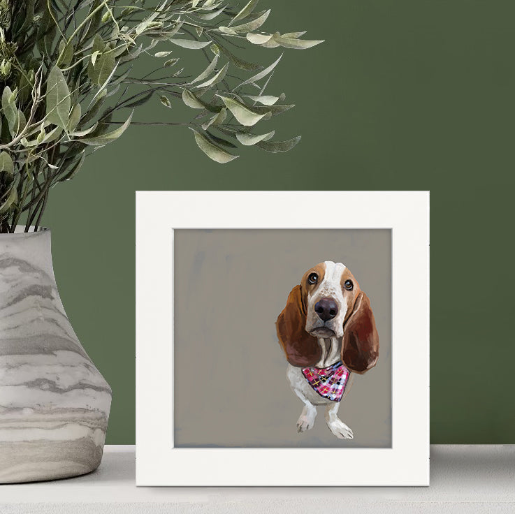 100 Days of Dogs - 83 Happy Square