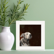 100 Days of Dogs - 9 Happy Square