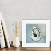 Abstract Oyster Happy Square
