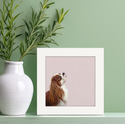 Best Friend - Looking Up Cavalier Happy Square™