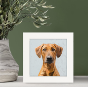 Best Friend - Rhodesian Ridgeback Happy Square™