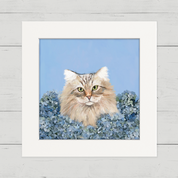 Blue Hydrangea Cat Happy Square