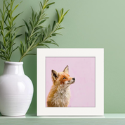Buttercup Fox Happy Square