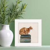 Cat on Books 1 Happy Square™