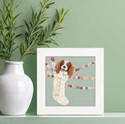 Cavalier in Stocking Happy Square