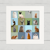 Colorblock Cats Happy Square