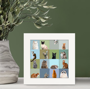 Colorblock Cats Happy Square