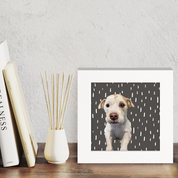 Days of Dogs - 29 Happy Square