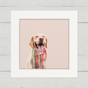 Fall - Dogs Love Scarves Happy Square