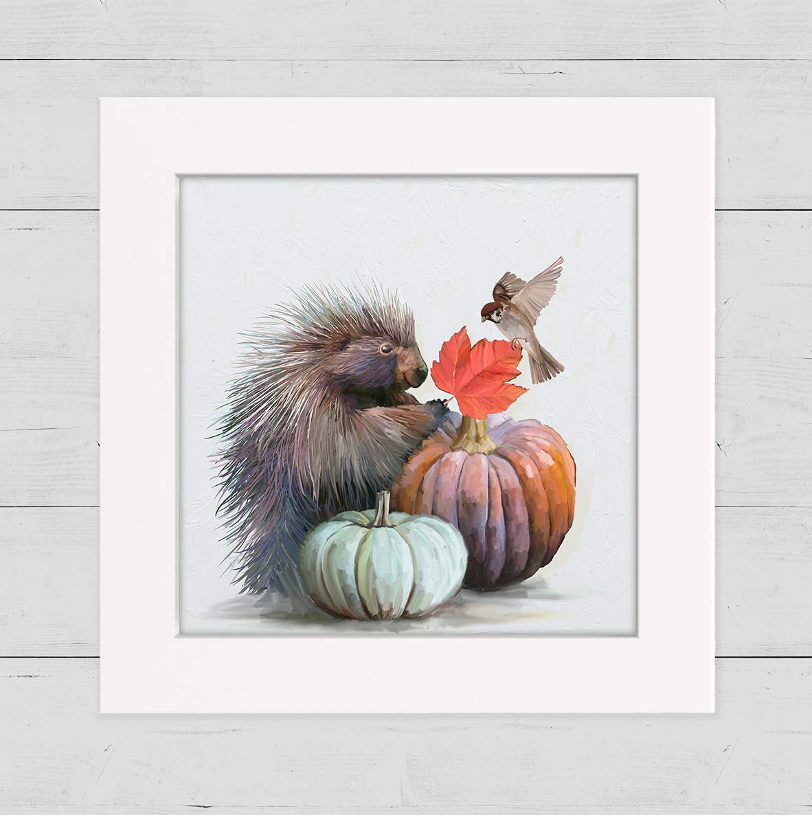 Fall - Porcupine Happy Square