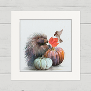 Fall - Porcupine Happy Square