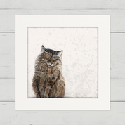 Feline Friends - Purfect Maine Coon Happy Square