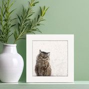 Feline Friends - Purfect Maine Coon Happy Square