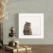 Feline Friends - Purfect Maine Coon Happy Square