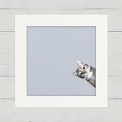 Feline Friends - Sneaky Cat Happy Square