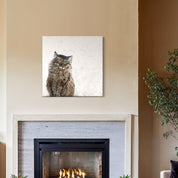 Feline Friends - Purfect Maine Coon Canvas Wrap