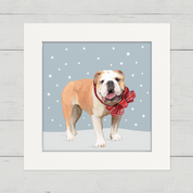 Festive Bulldog Happy Square
