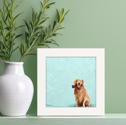 Festive Golden Retriever Happy Square