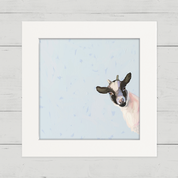 Goat Happy Square