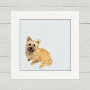 Good Boy Cairn Terrier Happy Square