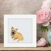 Good Boy Cairn Terrier Happy Square