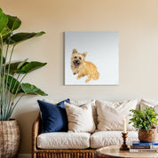 Good Boy Cairn Terrier Canvas Wrap